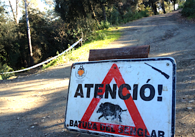 Senyalització d'una batuda de senglars a Collserola