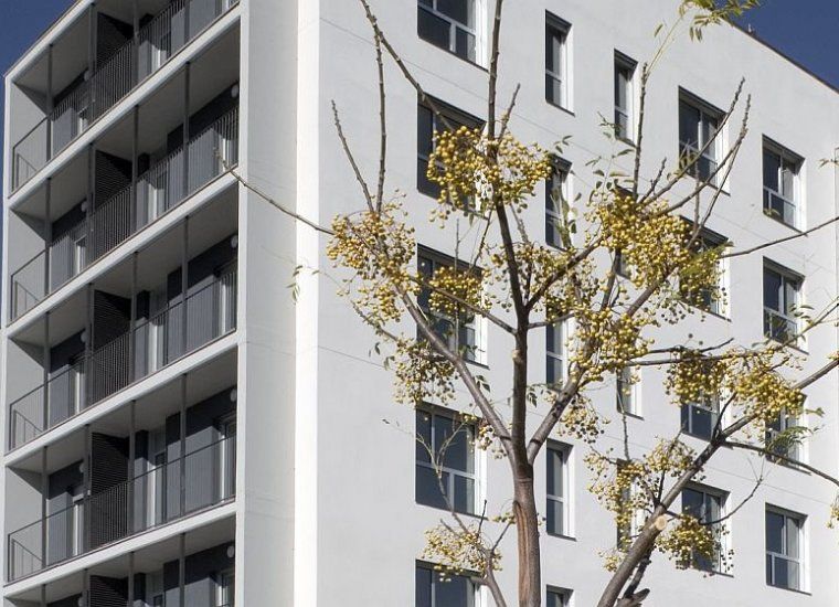 Les subvencions poden sol·licitar-se fins al 31 de desembre de 2018.