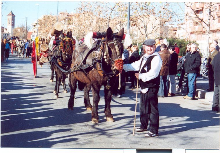 Els cavalls sempre han estat els protagonistes
