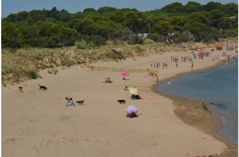 Platja del Rec del Molí. L'Escala