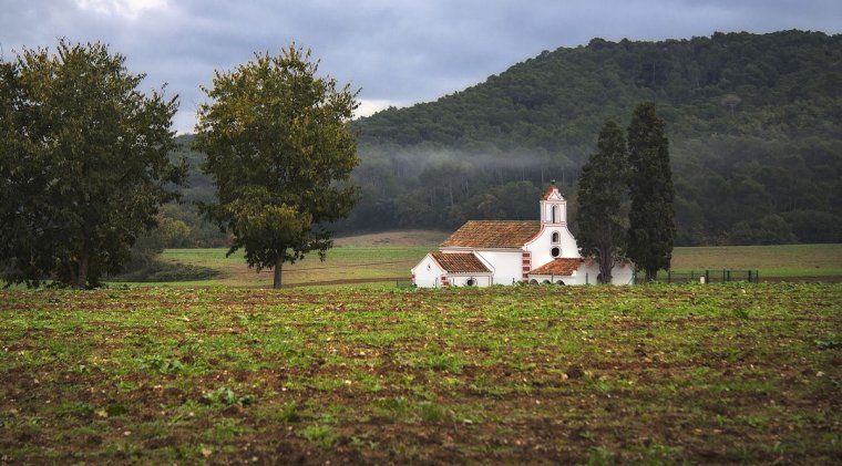 Ermita de Santa Maria de Les Feixes