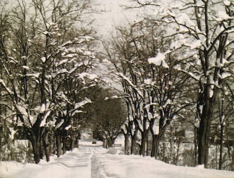 La Nevada de 1962, a Cerdanyola del Vallès. Cedida per Antoni Tomás