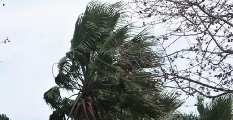 Precaució davant les fortes ventades