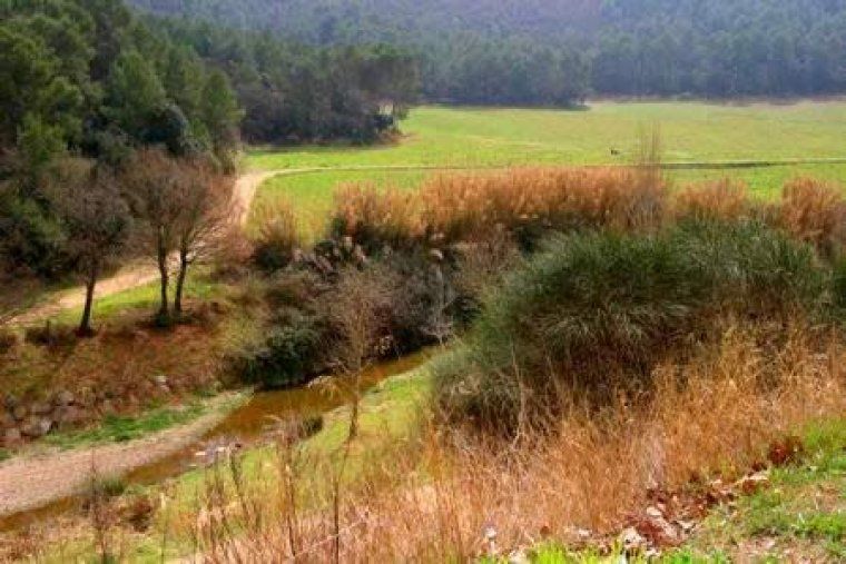 Imatge del Parc Natural de Collserola, al seu pas per Cerdanyola del Vallès