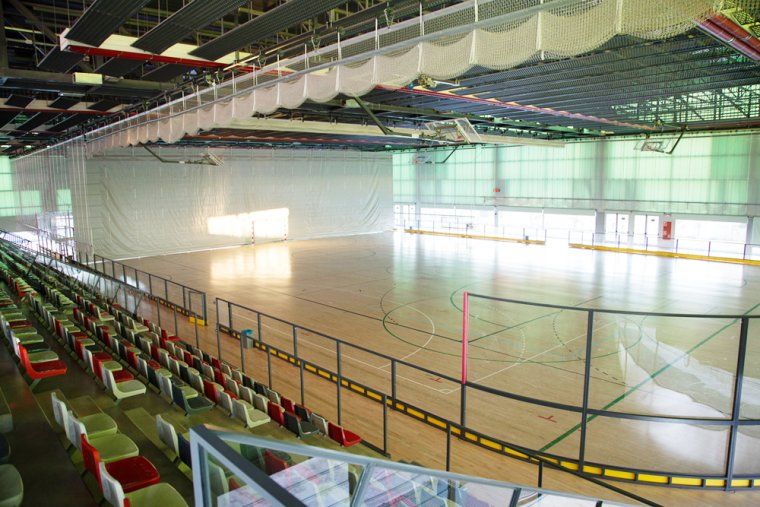 Els millors equips d'hoquei del món jugaran al pavelló de la Llana l'estiu del 2019