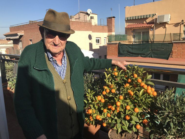 Luis Fernández Capilla
