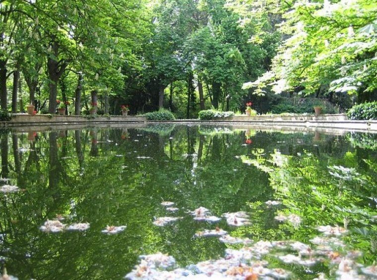 El bosc de Can Catà meravella els visitants