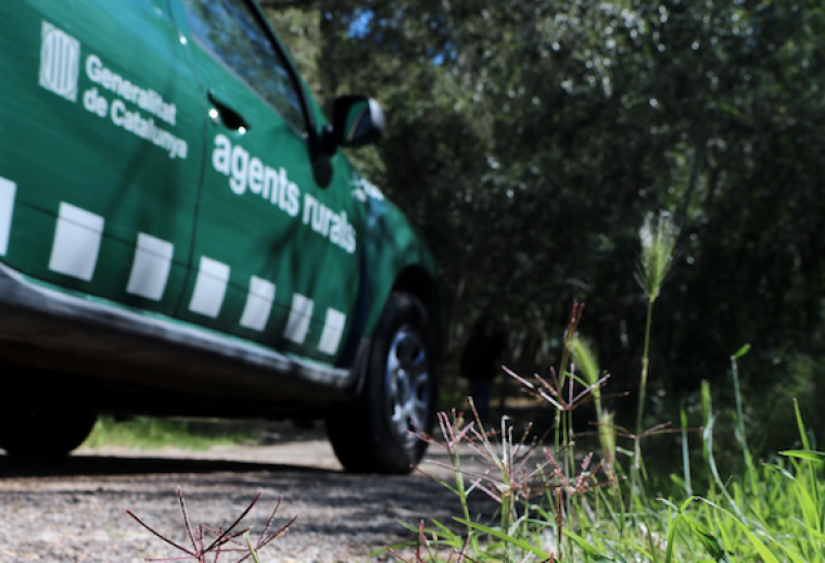 L'espai ha estat desmantellat pels Agents Rurals, en col·laboració amb els Mossos d'Esquadra. FOTO: ACN