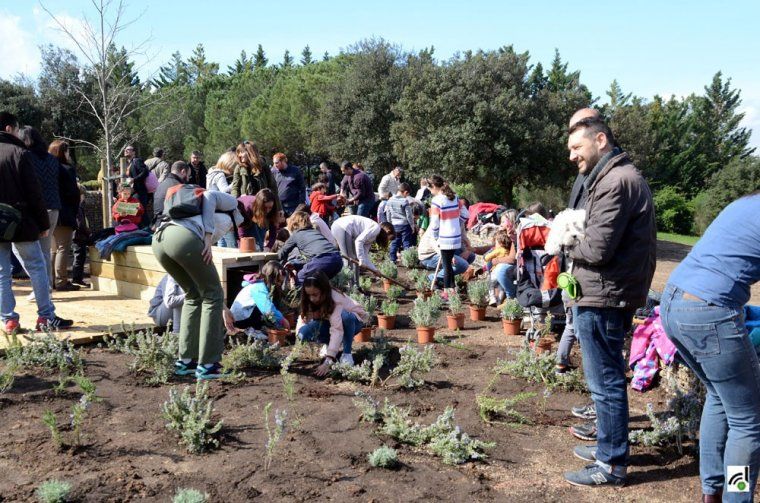 Activitat de plantació al Jardí de les Papallones del parc del Turonet. FOTO: Arxiu. 