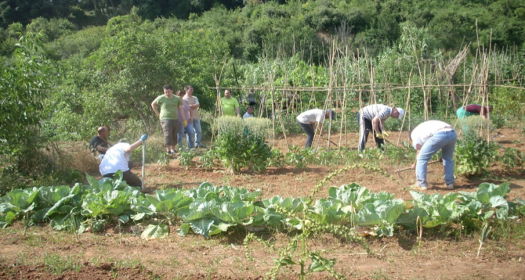 Hort de l'Associació Badia Sostenible treballat per pacients psiquiàtrics. Foto. Arxiu