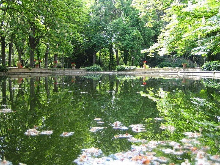 El Bosc de Can Catà. FOTO: Arxiu