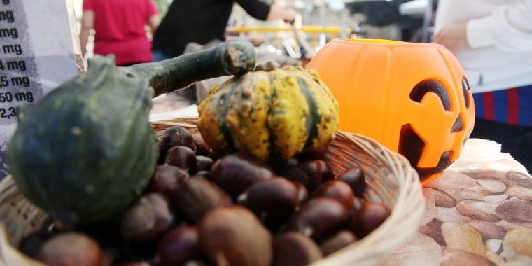 La Castanyada i Halloween compartiran espais a la ciutat. FOTO: Arxiu