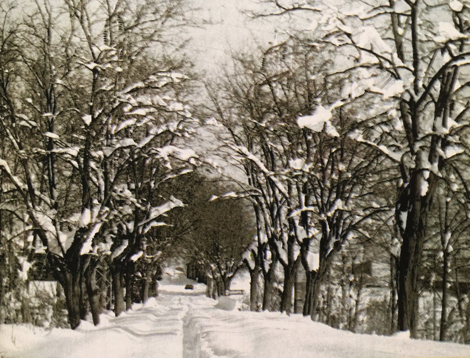 La nevada de 1962 a Cerdanyola