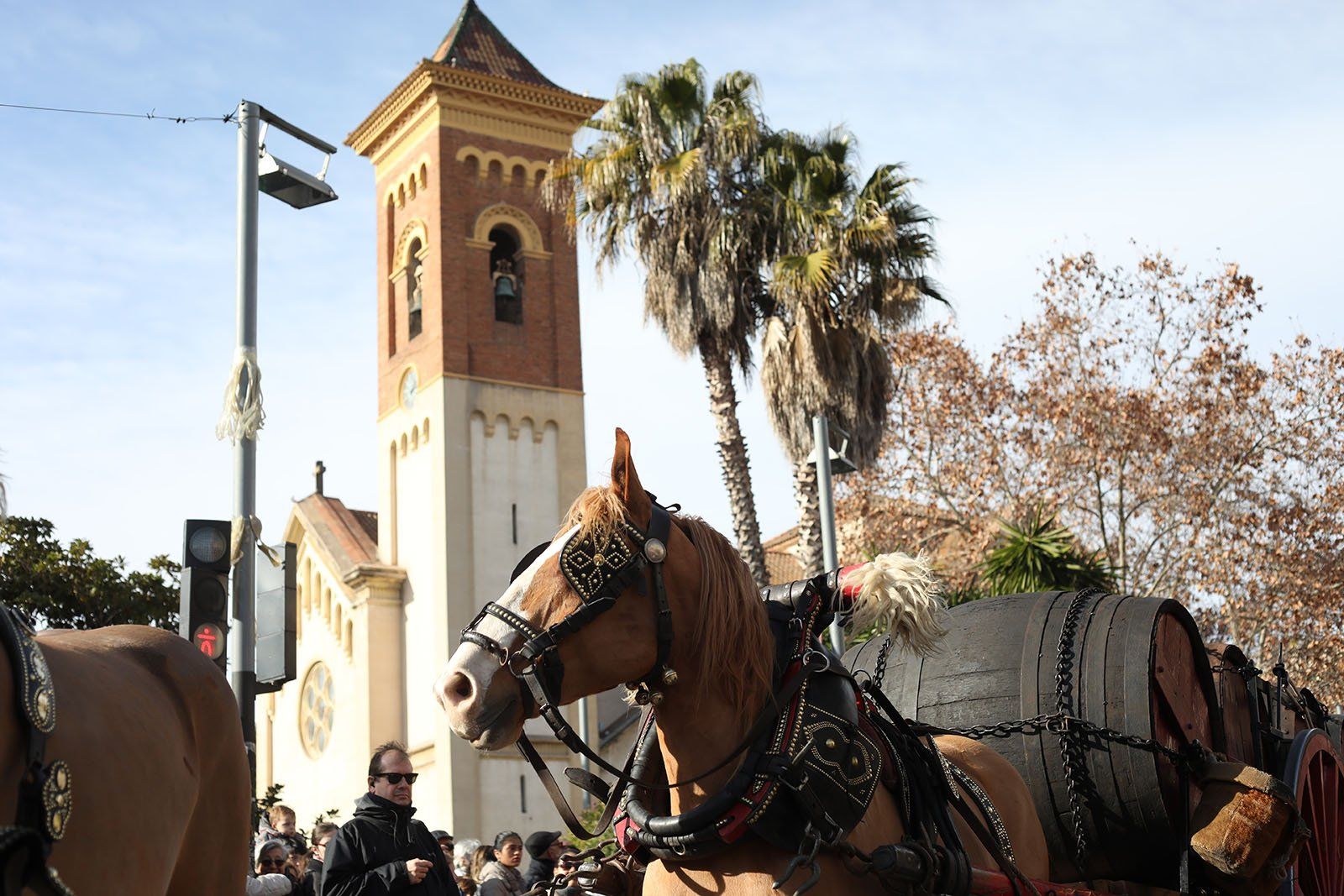 Les imatges de la passada dels Tres Tombs 2019