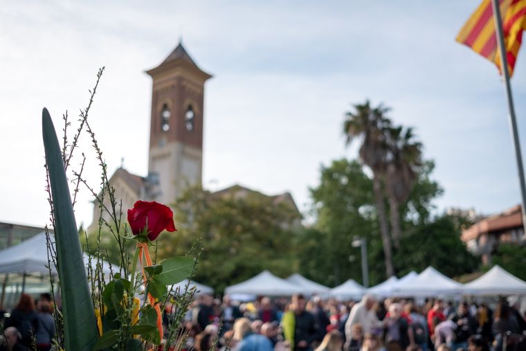 Sant Jordi a Cerdanyola