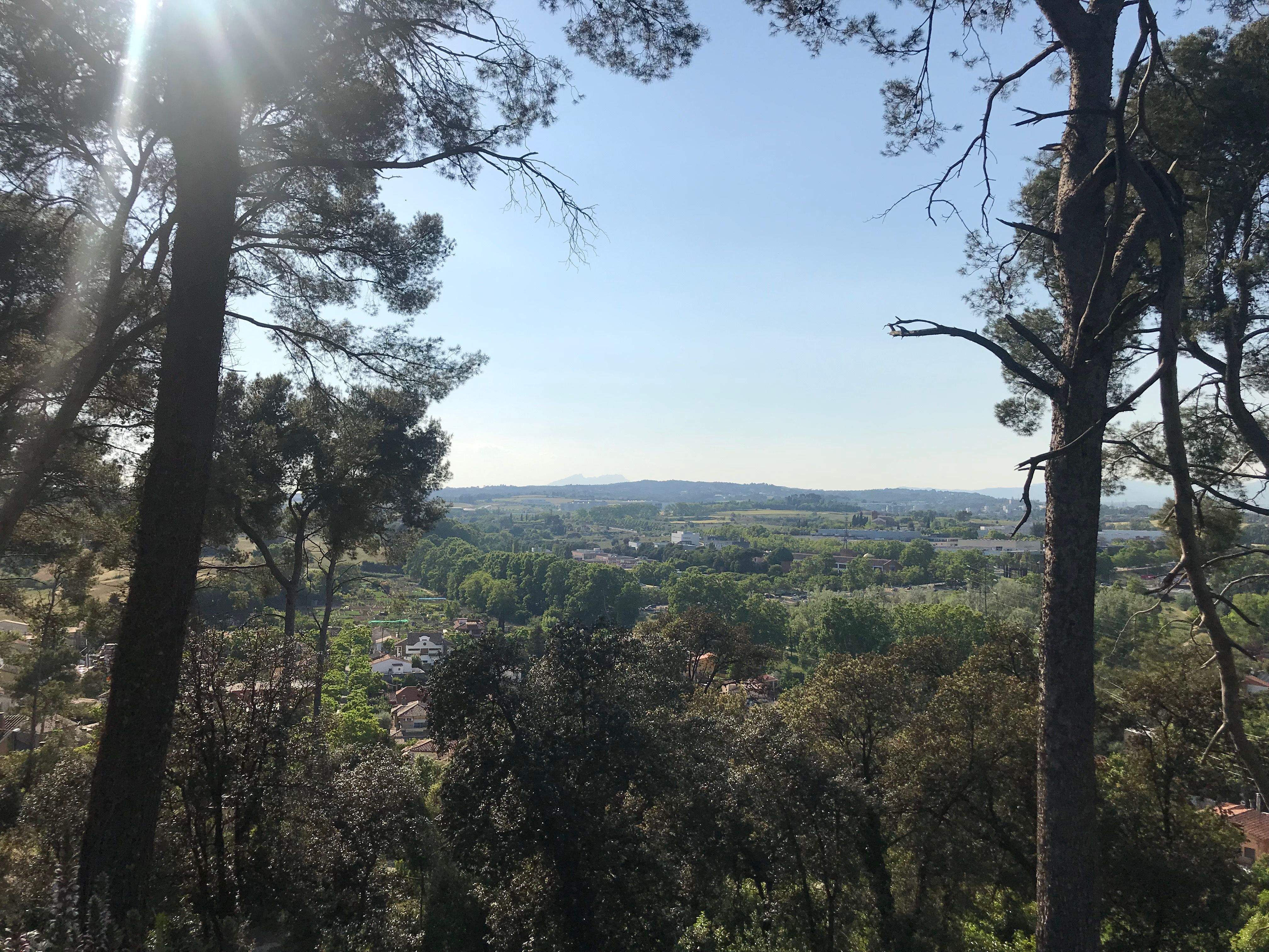 Un dia d'estiu a Montflorit
