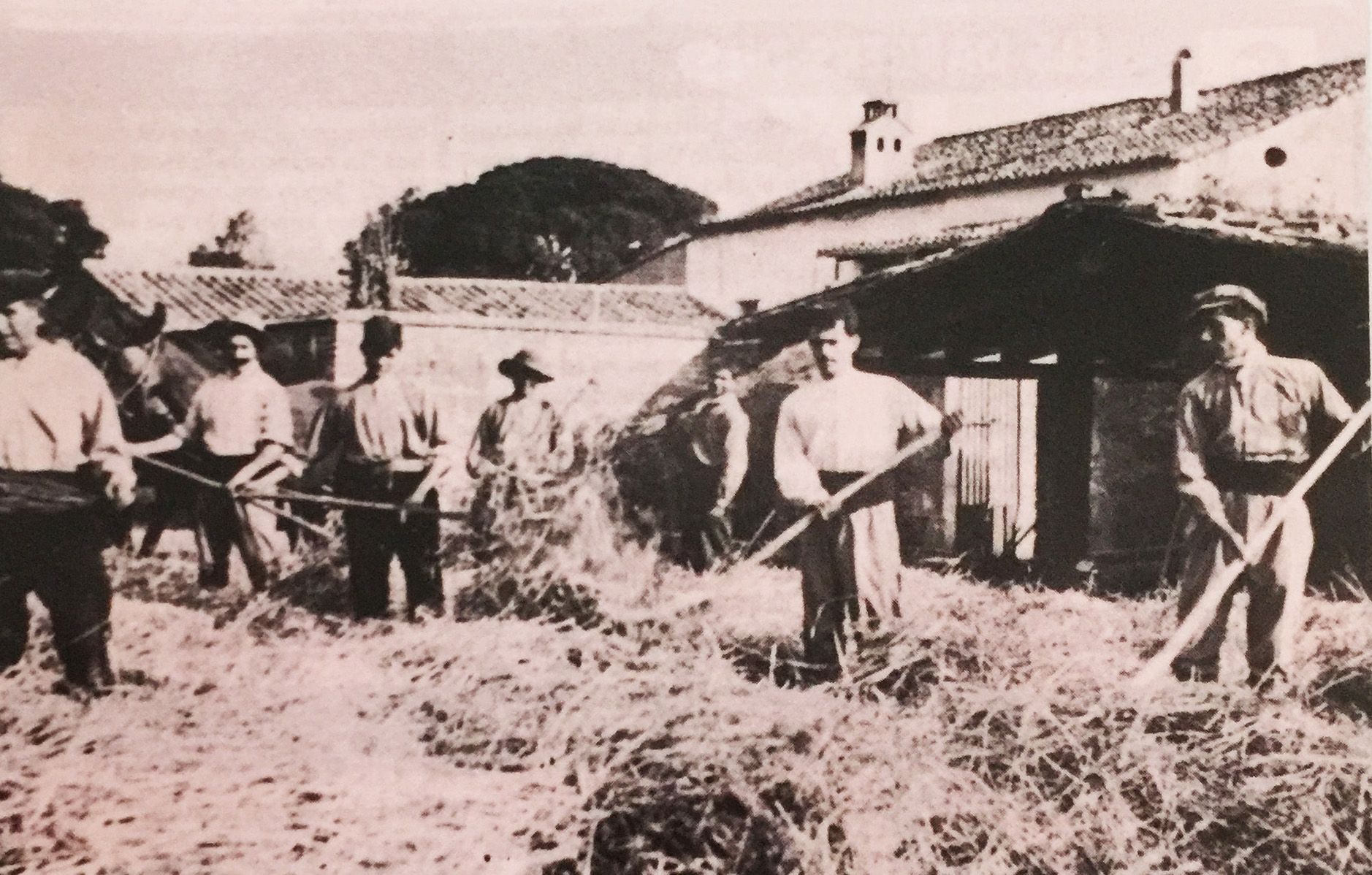 “La Masia Can Canaletes”. Cedida per Escursell (TOT Cerdanyola, 22)