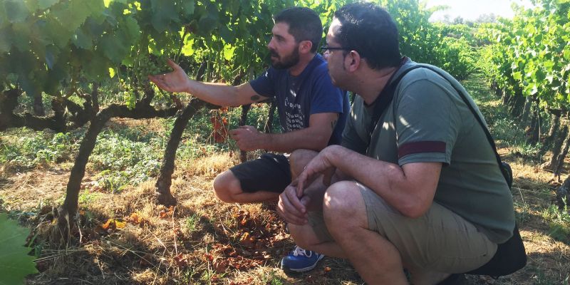 Iñigo Haughey, l'emprenedor ha fet el vi, i Isaac Gómez, chef i copropietari del restaurant Capicua