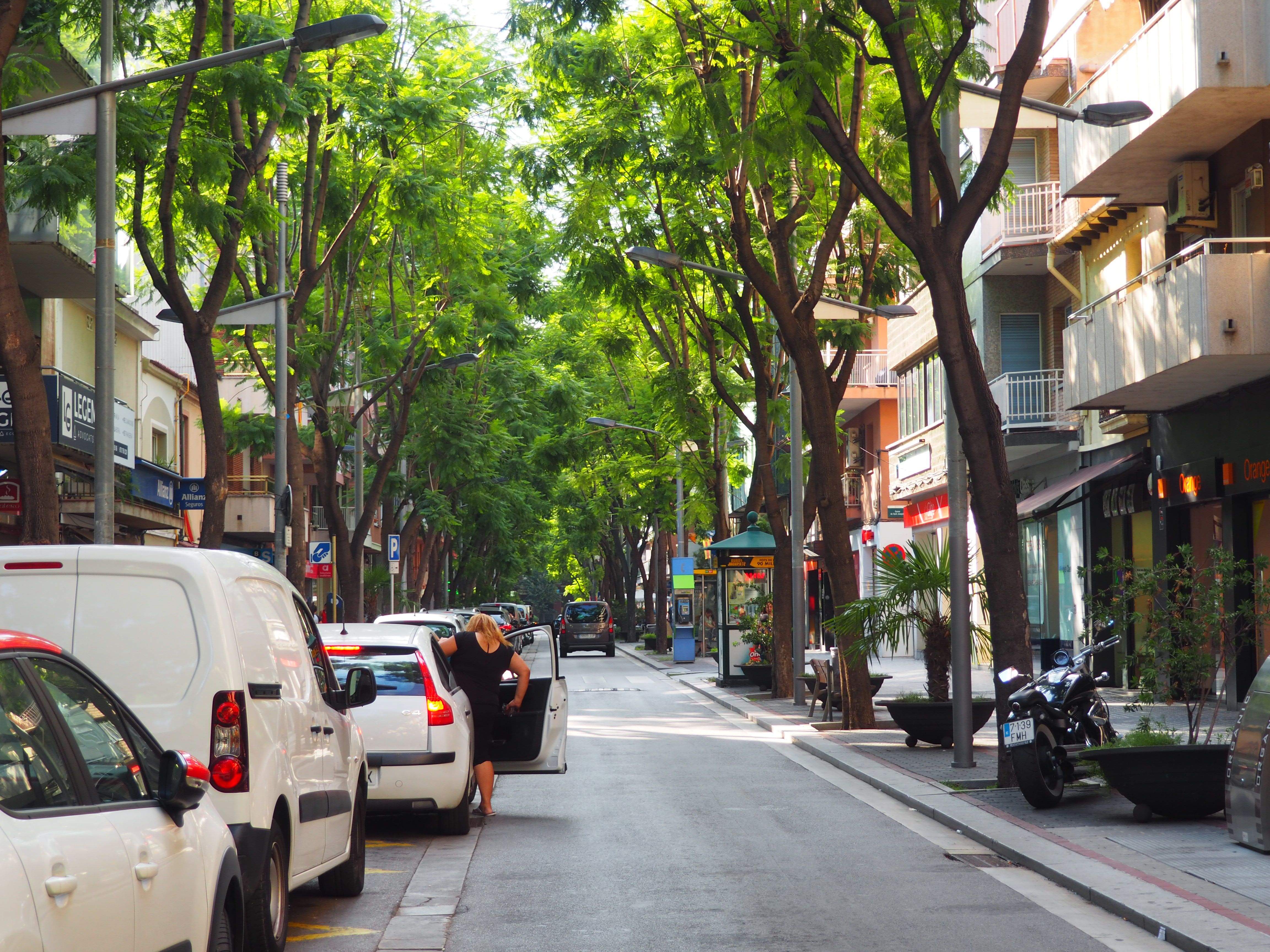 L'avinguda Catalunya. FOTO: Mónica García