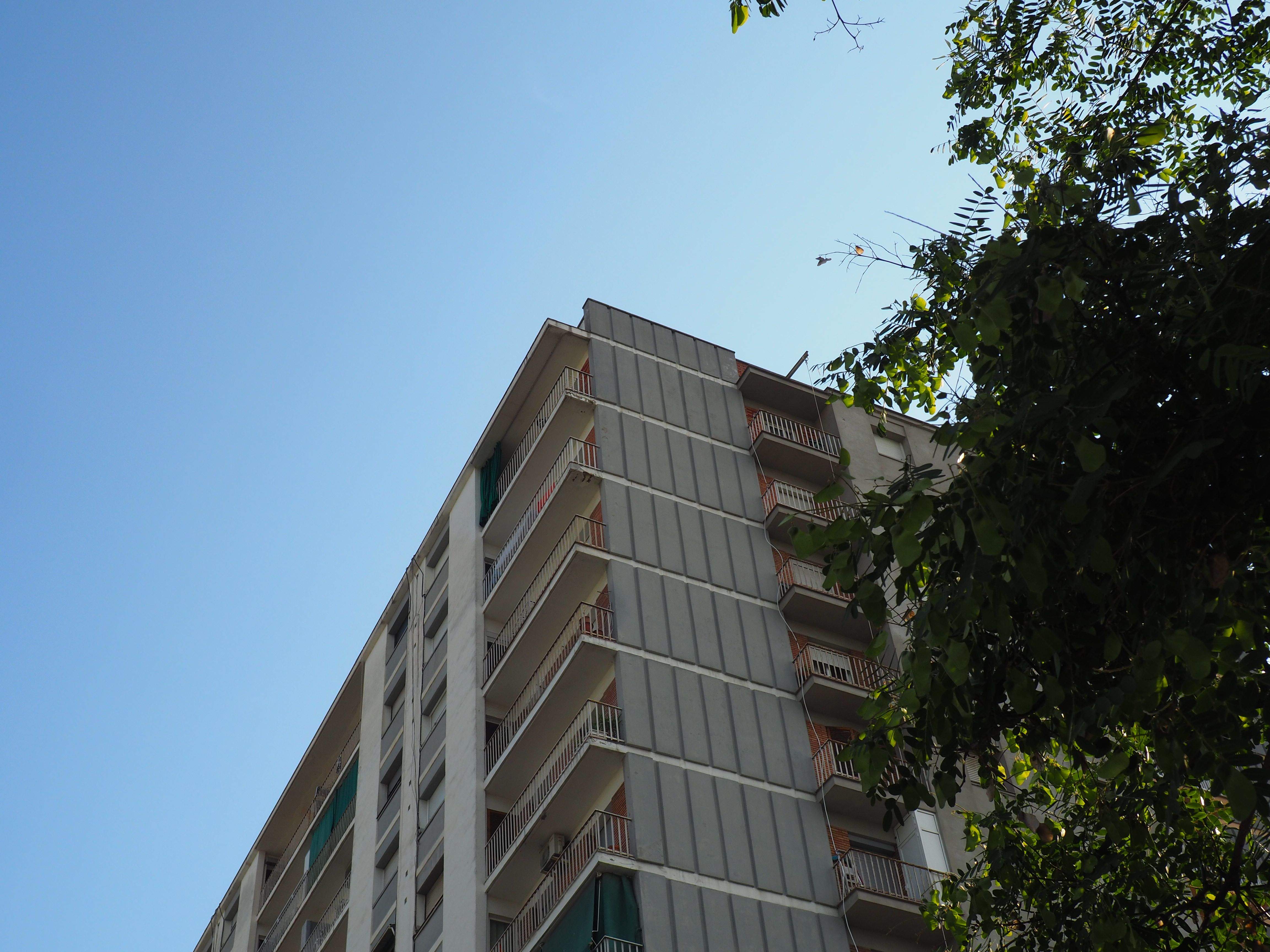 Temps fred amb sol a Cerdanyola. FOTO: Mónica García