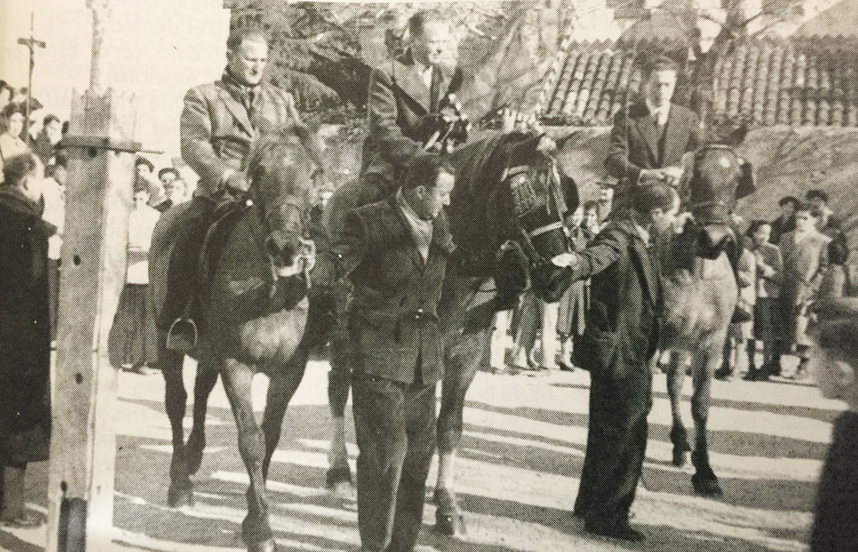 Festa de Sant Antoni Abat a Cerdanyola, 1953. FOTO: Cedida per la Família Vidal