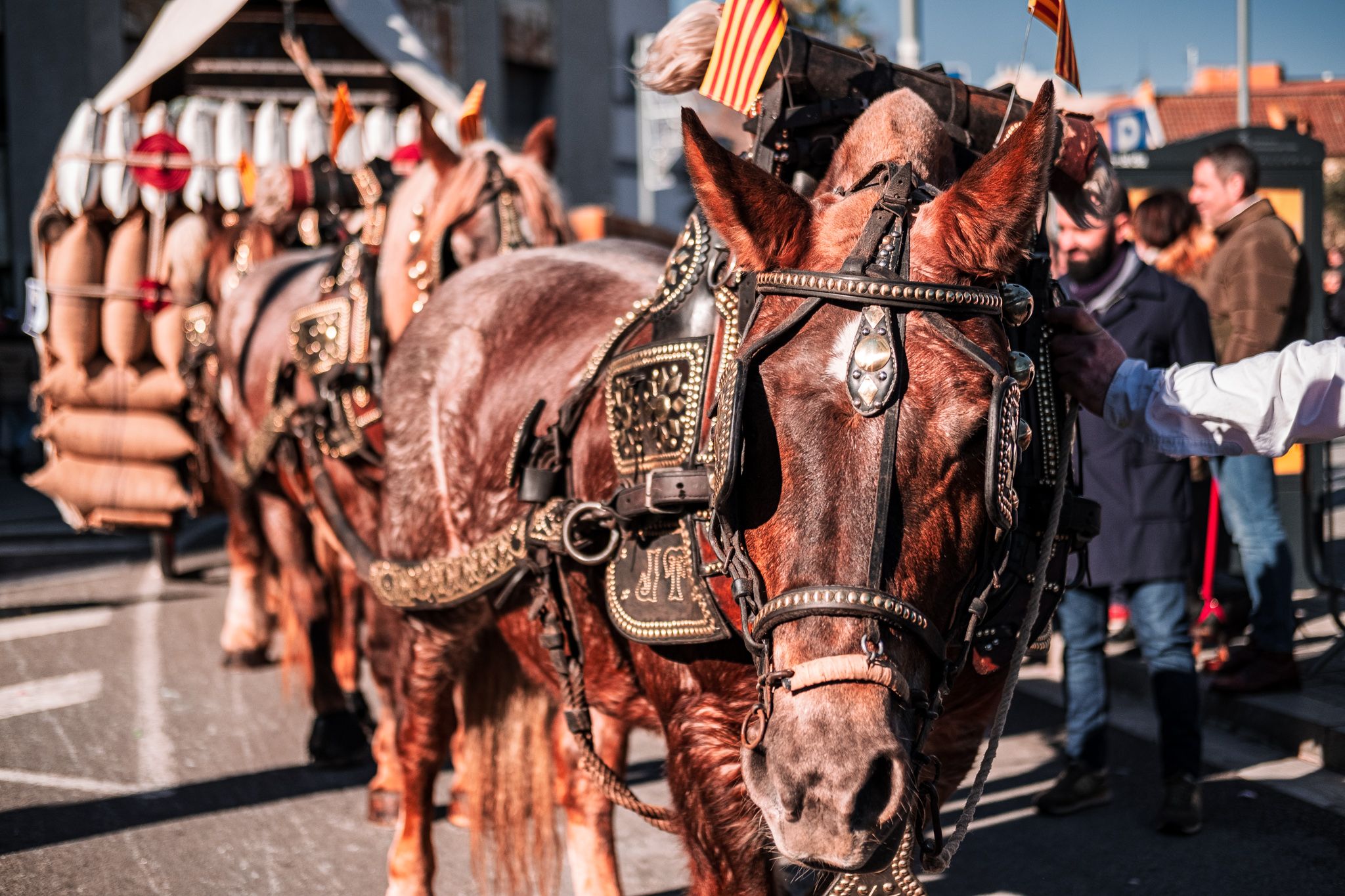 Passen els Tres Tombs pels carrers de Cerdanyola. FOTO: Ale Gómez