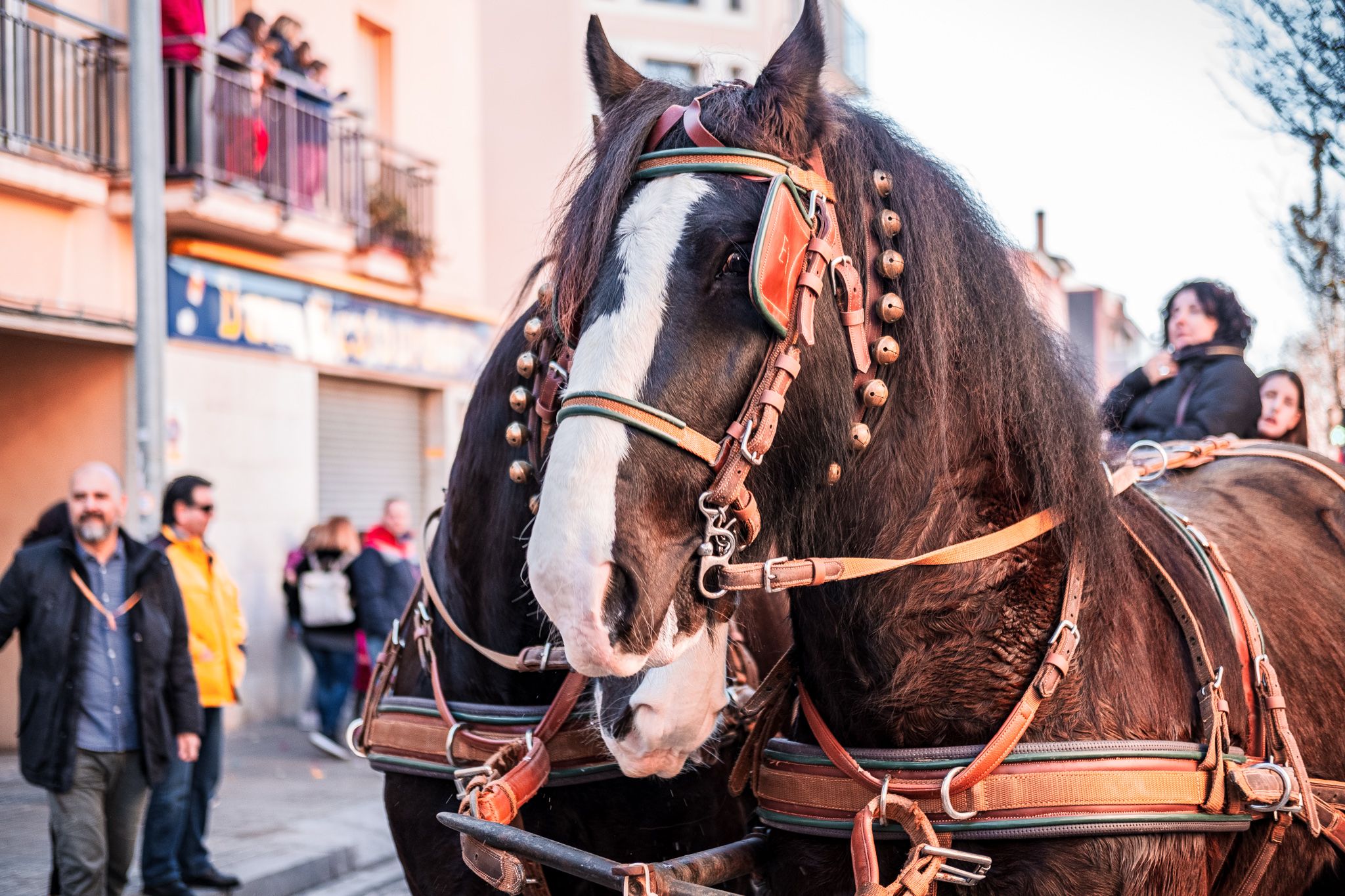 Passen els Tres Tombs pels carrers de Cerdanyola. FOTO: Ale Gómez