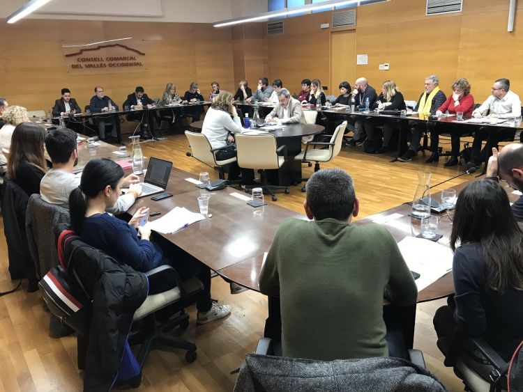 Ple de gener del Consell Comarcal. FOTO: CCVO