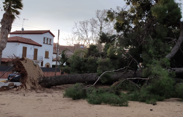 L'arbrat ha causat algunes incidències a la ciutat. FOTO: Ajuntament de Cerdanyola