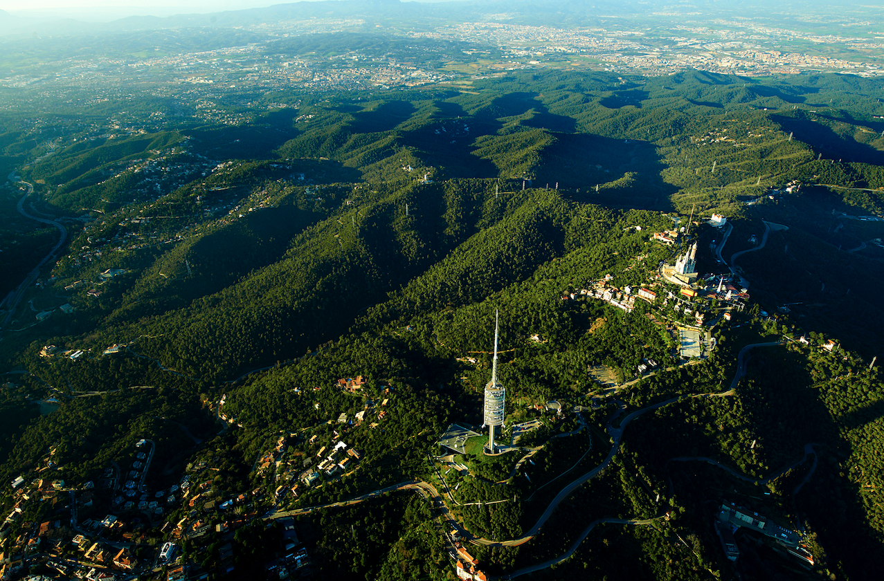 El parc natural de Collserola. FOTO: TOT Sant Cugat
