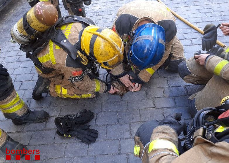 Els Bombers reanimen el gos. FOTO: Bombers de la Generalitat