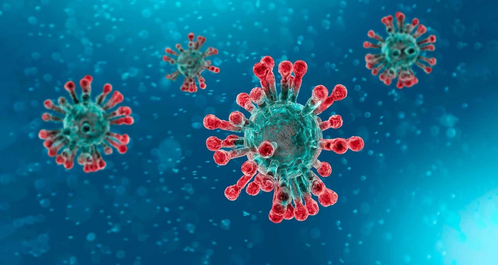 Coronavirus 