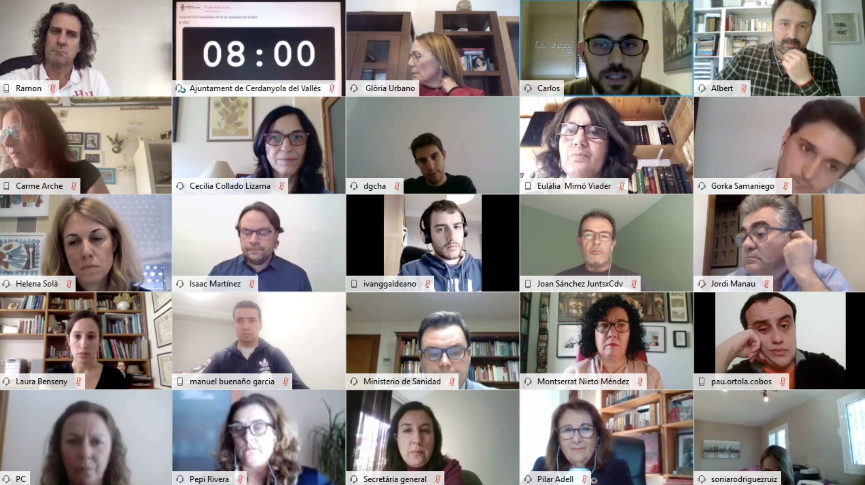 Els regidors i regidores s'han trobat de forma telemàtica. 