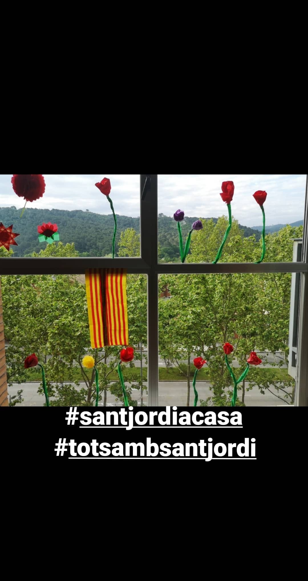 #totsambsantjordi