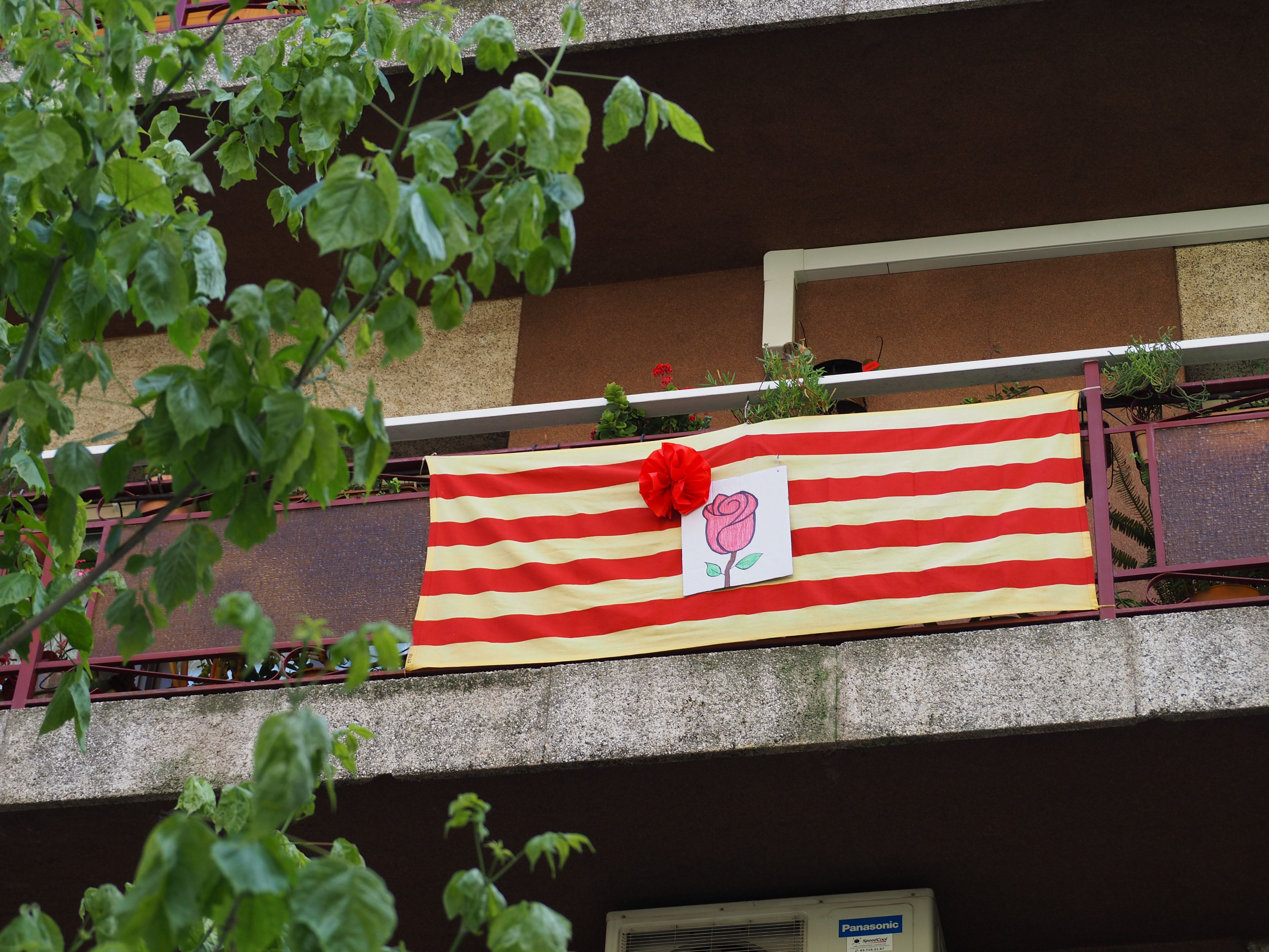 Balcons cerdanyolencs decorats per Sant Jordi. FOTO: Mónica García Moreno