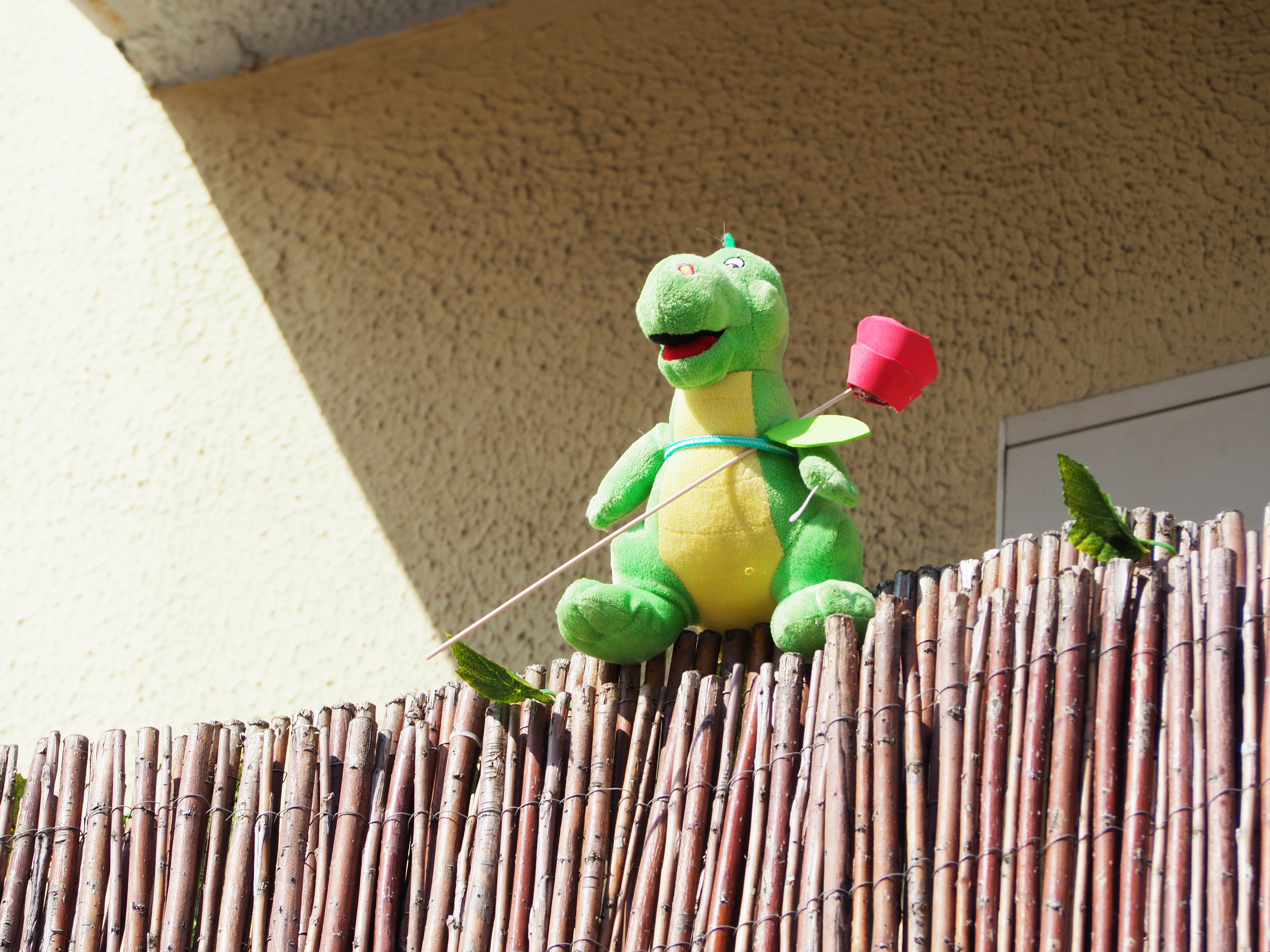 Balcons cerdanyolencs decorats per Sant Jordi. FOTO: Mónica García Moreno