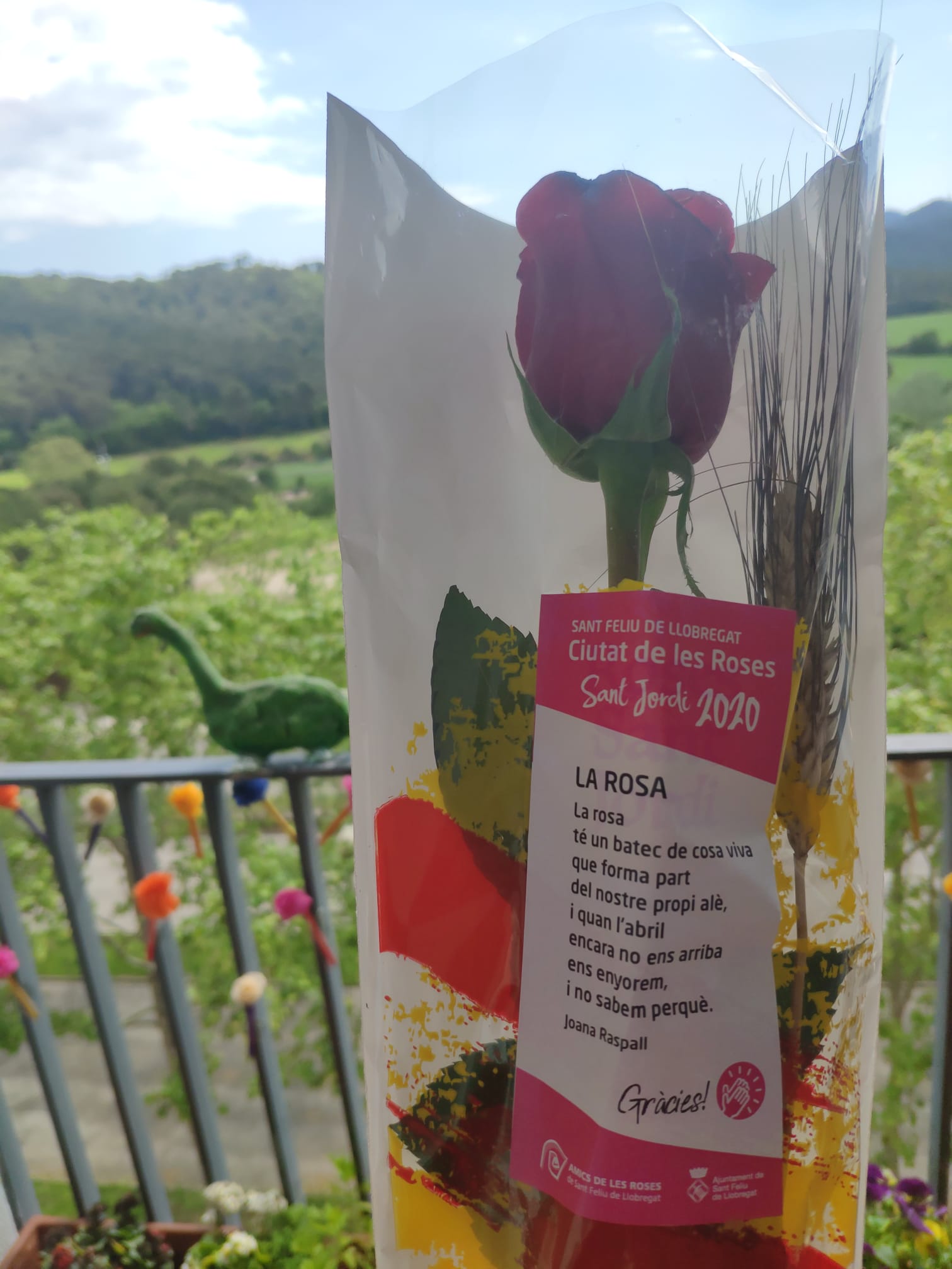#totsambsantjordi