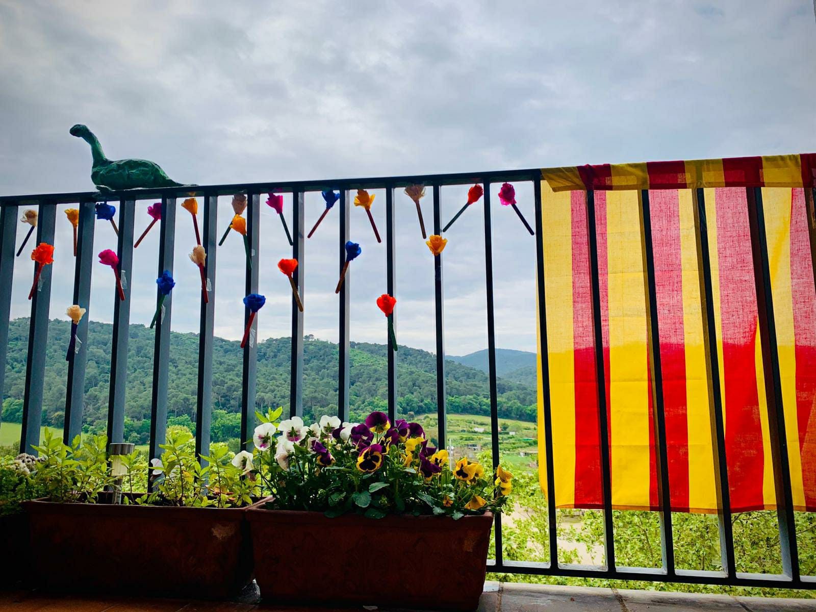 Foto guanyadora del sorteig d'un llibre. FOTO: Joana Branchadell