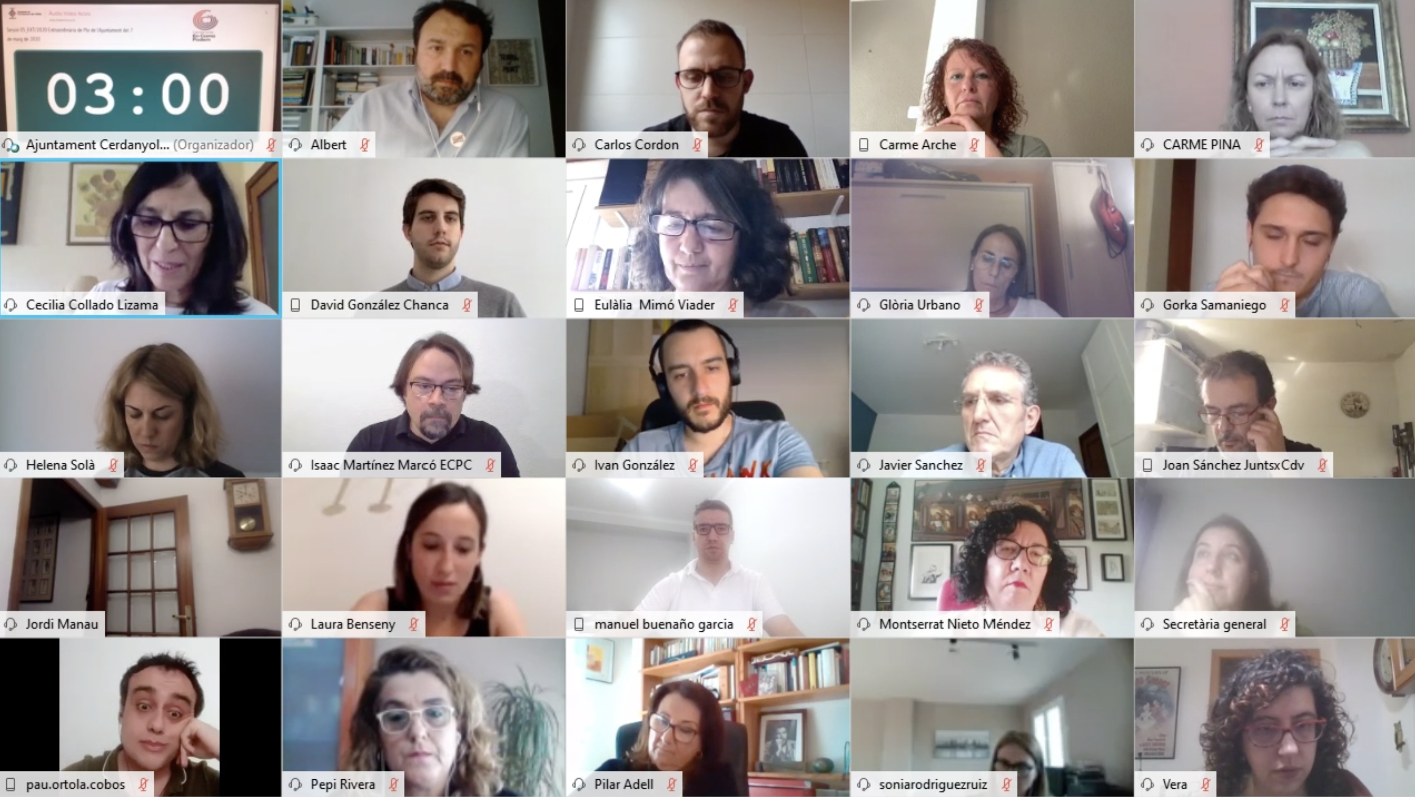 Sessió telemàtica del ple extraordinari del 7 de maig de 2020. 