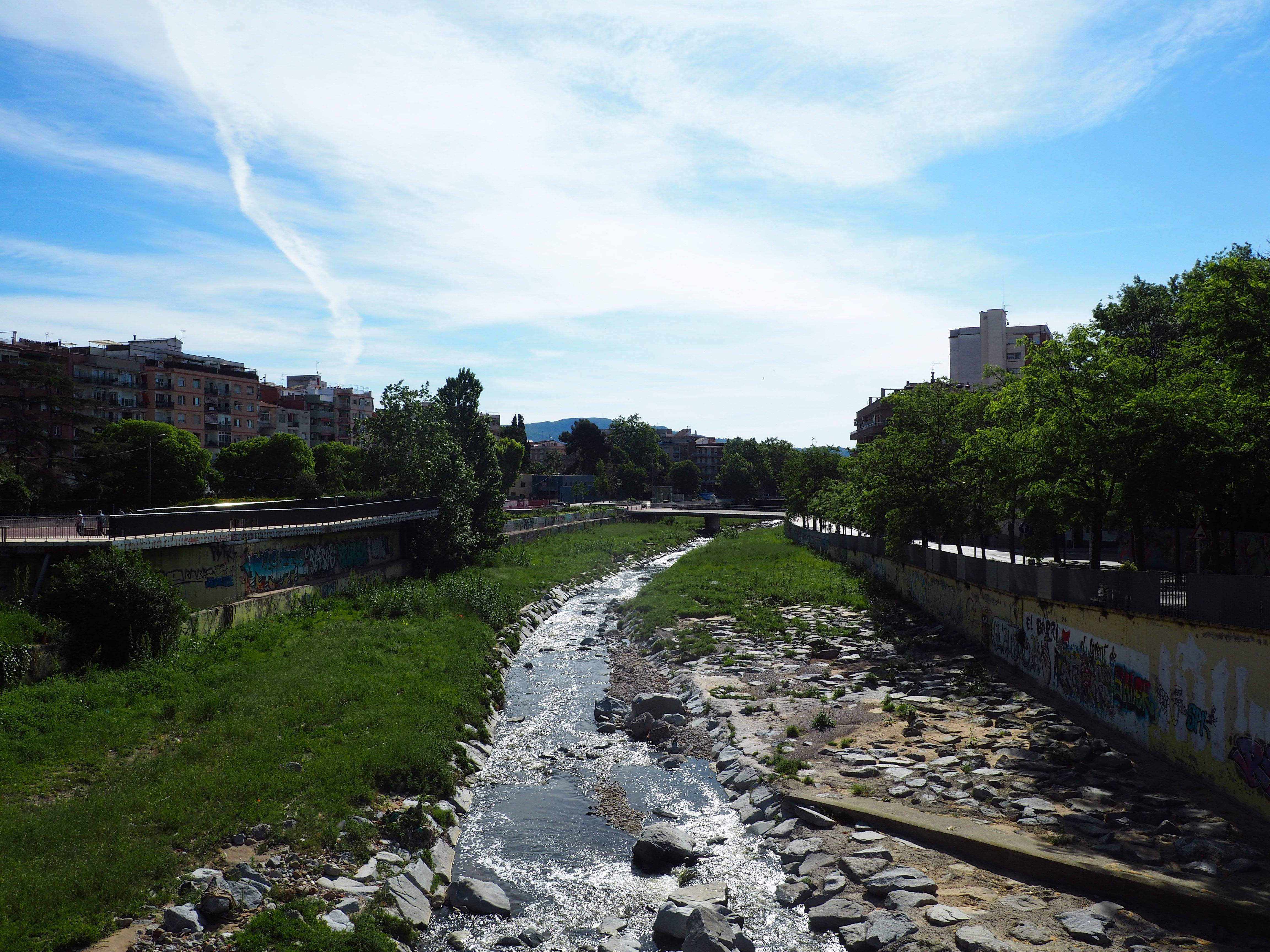 El Riu Sec durant el mes de maig de 2020. FOTO: Mónica GM
