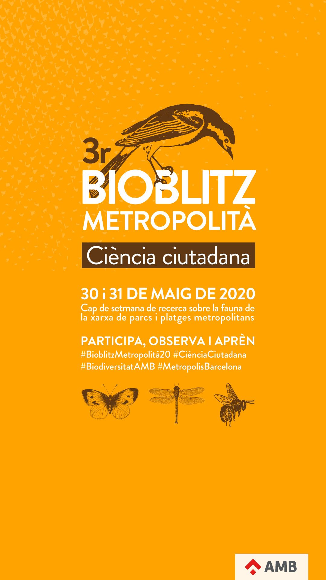 Cartell Bioblitz