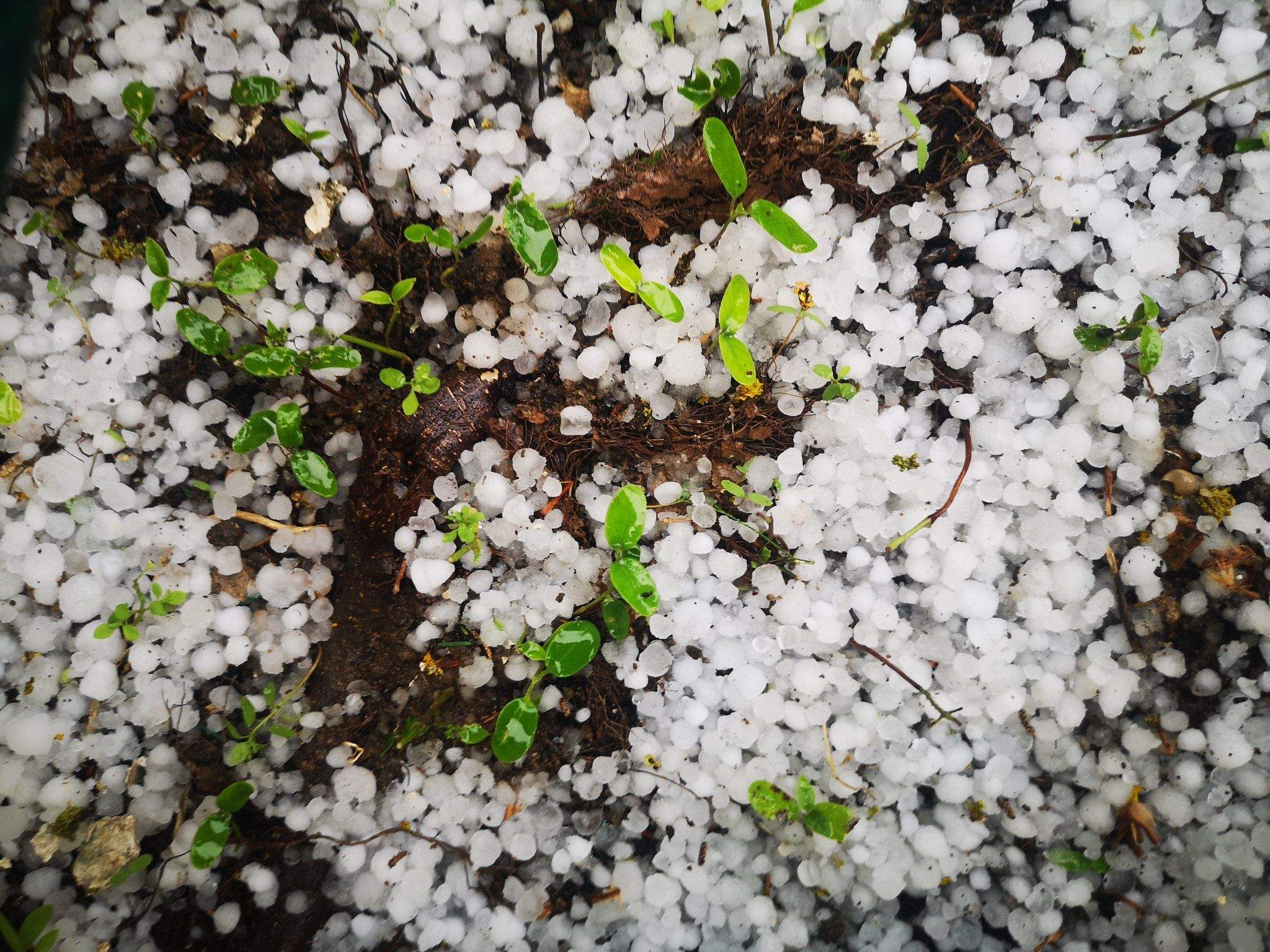 Calamarsa al barri de Montflorit. FOTO: @22noa221