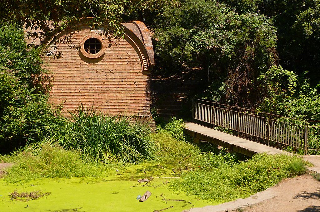 Resclosa amb llenties d'aigua / Arxiu Parc de Collserola