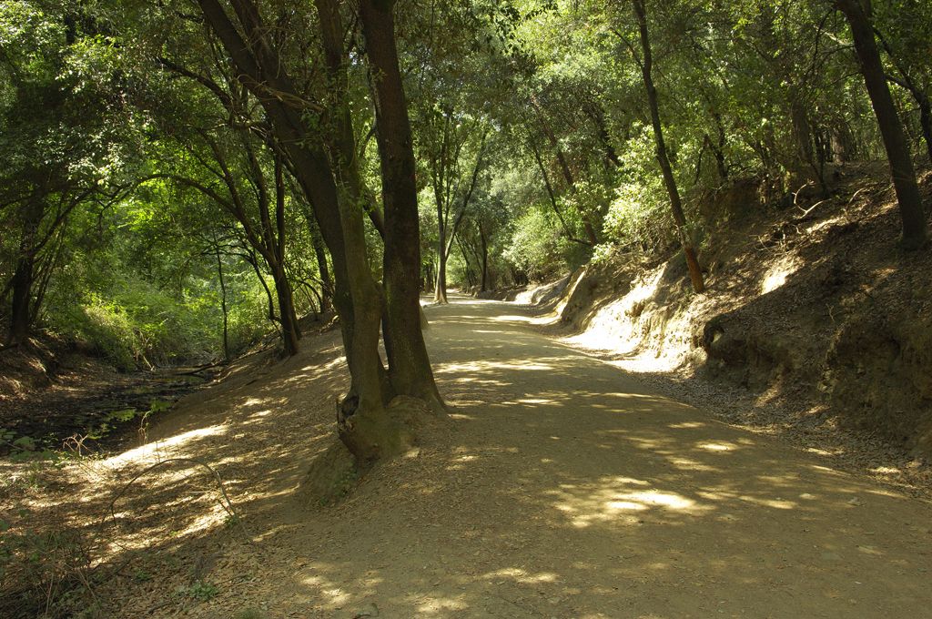 Torrent de Can Codina / Parc Natural Collserola