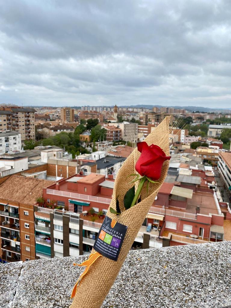 Un Sant Jordi des dels balcó / FOTO: Laura Arias