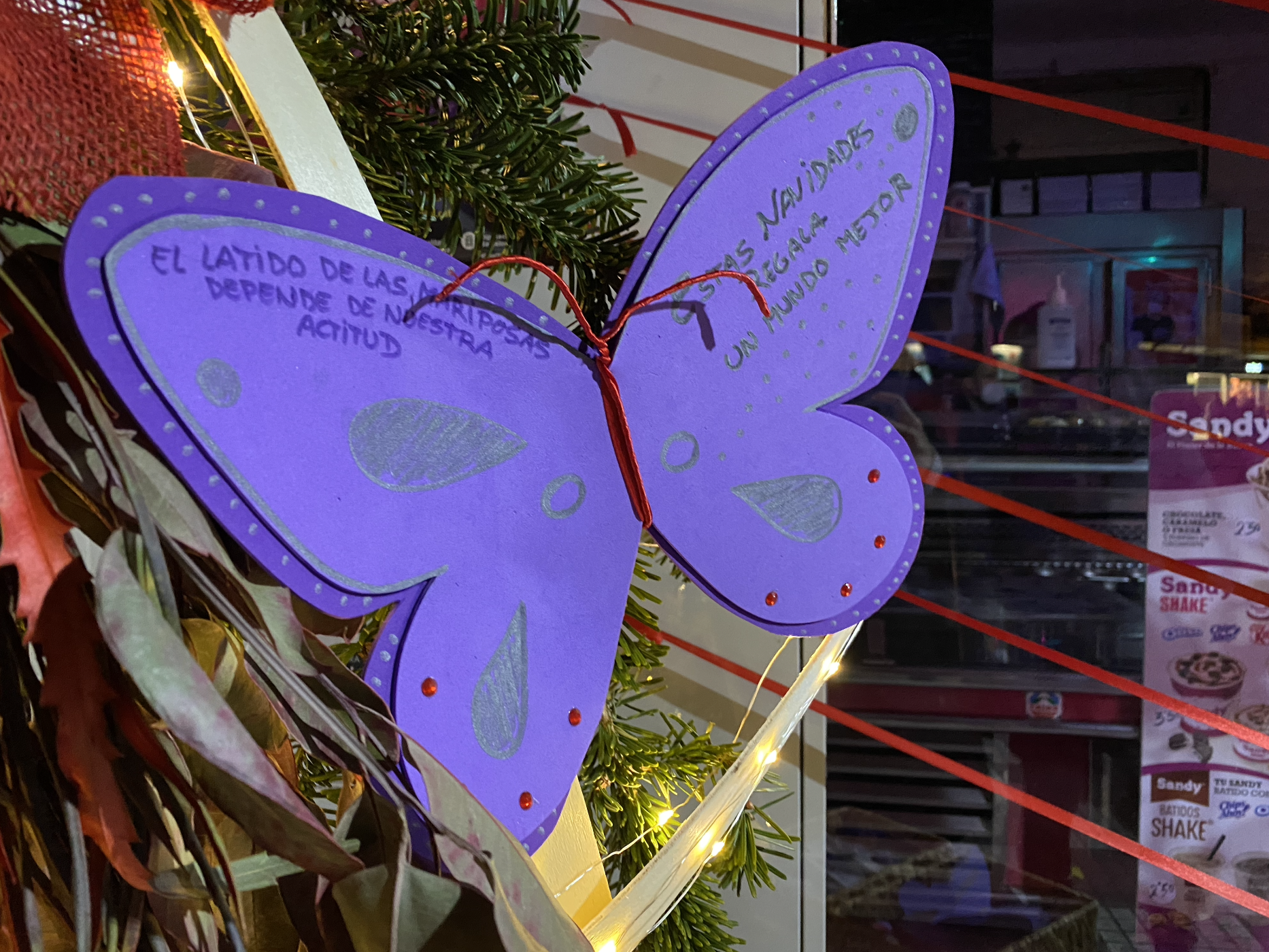 El local DiS de Cerdanyola acull les papallones de 'El latido de las mariposa'. FOTO: Mónica GM