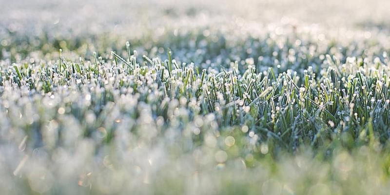 Les dites populars fan referència al temps que fa per Cap d'Any, entre altres
