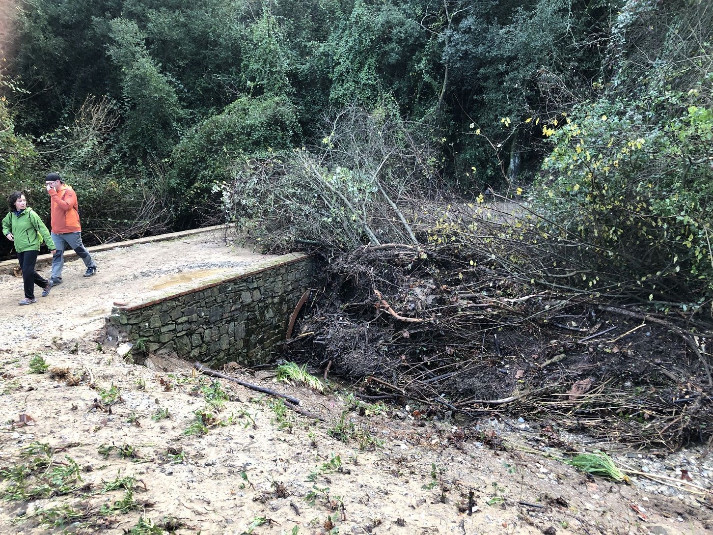 Del temporal Glòria als aiguats de final d’any