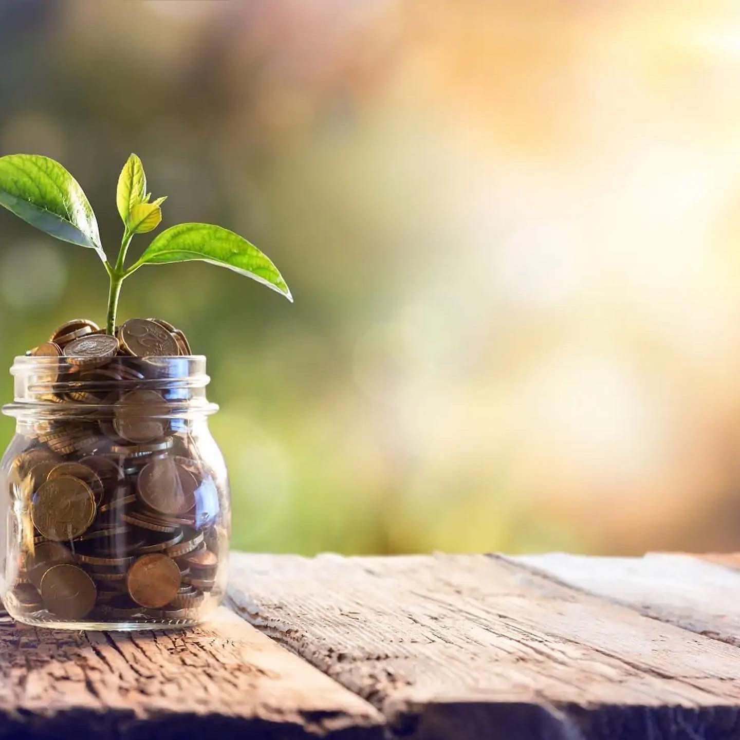 QGAT Energy t'ajuda a millorar la sostenibilitat de la teva llar o empresa. FOTO: Cedida