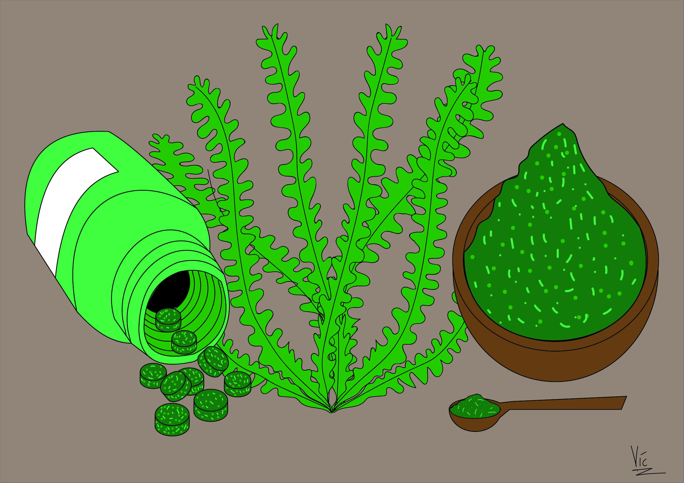 Chlorella. IL·LUSTRACIÓ: Víctor Máiquez, estudiant de l'Escola d'Art i Disseny de Sant Cugat